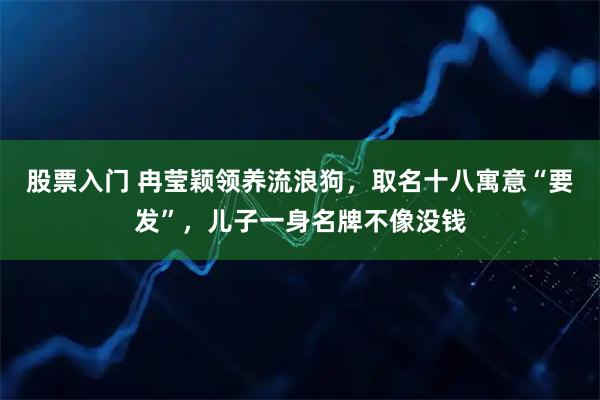 股票入门 冉莹颖领养流浪狗，取名十八寓意“要发”，儿子一身名牌不像没钱