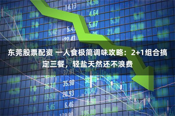 东莞股票配资 一人食极简调味攻略:2+1组合搞定三餐,轻盐天然还不浪费